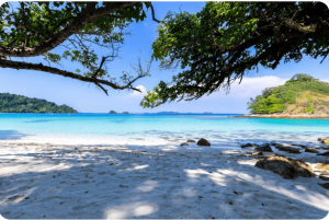 Explore Andaman: Best Time To Visit & Famous Places Around It