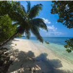 7 Best Beaches in Andaman That Will Steal Your Heart