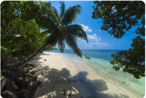 7 Best Beaches in Andaman That Will Steal Your Heart