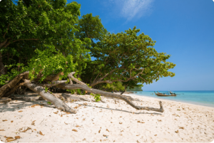 Lakshadweep vs Andaman: Which Is Better Than Other?