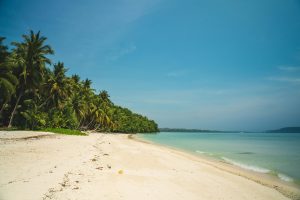 The Ultimate Travel Guide To Havelock Island